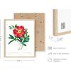 imageHAUS AND HUES Floral ampamp Plant Posters  Set of 6 Botanical Prints Flower ampamp Plant Wall Art Botanical Decor Beige Frame 8x10Vintage Flowers Set