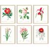 imageHAUS AND HUES Floral ampamp Plant Posters  Set of 6 Botanical Prints Flower ampamp Plant Wall Art Botanical Decor Beige Frame 8x10Vintage Flowers Set