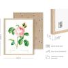 imageHAUS AND HUES Floral ampamp Plant Posters  Set of 6 Botanical Prints Flower ampamp Plant Wall Art Botanical Decor Beige Frame 8x10Vintage Flowers Set