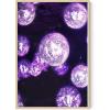 imageHAUS AND HUES Purple Pictures Wall Decor  Girls Wall Art for Bedroom Aesthetic Neon Posters Purple Wall Decor for Bedroom Black Framed 16x20Disco Balls