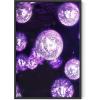 imageHAUS AND HUES Purple Pictures Wall Decor  Girls Wall Art for Bedroom Aesthetic Neon Posters Purple Wall Decor for Bedroom Black Framed 16x20Disco Balls