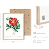 imageHAUS AND HUES Vintage Flower Posters and Prints  Set of 6 Wildflower Wall Art Botanical Print Set  Plant Poster Floral Art Prints for Wall UNFRAMED 8x10Vintage Flowers Set
