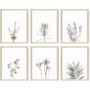 imageHAUS AND HUES Vintage Flower Posters and Prints  Set of 6 Wildflower Wall Art Botanical Print Set  Plant Poster Floral Art Prints for Wall UNFRAMED 8x10Lavender