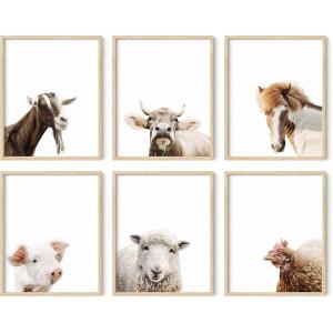 imageHAUS AND HUES Barn Wall Art  Rustic Farmhouse Decor Western Country Wall Art Blue Barn Prints Framed Vintage Landscape for Living Room ampamp Bedroom Beige Frame 8x10Farm Animals