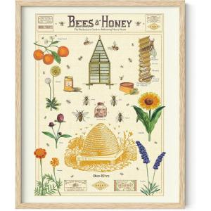 imageHaus and Hues Honey Bee Decor Cavallini Poster  Bee Wall Decor Vintage Posters for Room Aesthetic Vintage Prints and Plant Posters Follygraph Fleurs Vintage Poster Bees and Honey Framed Beige 16x20