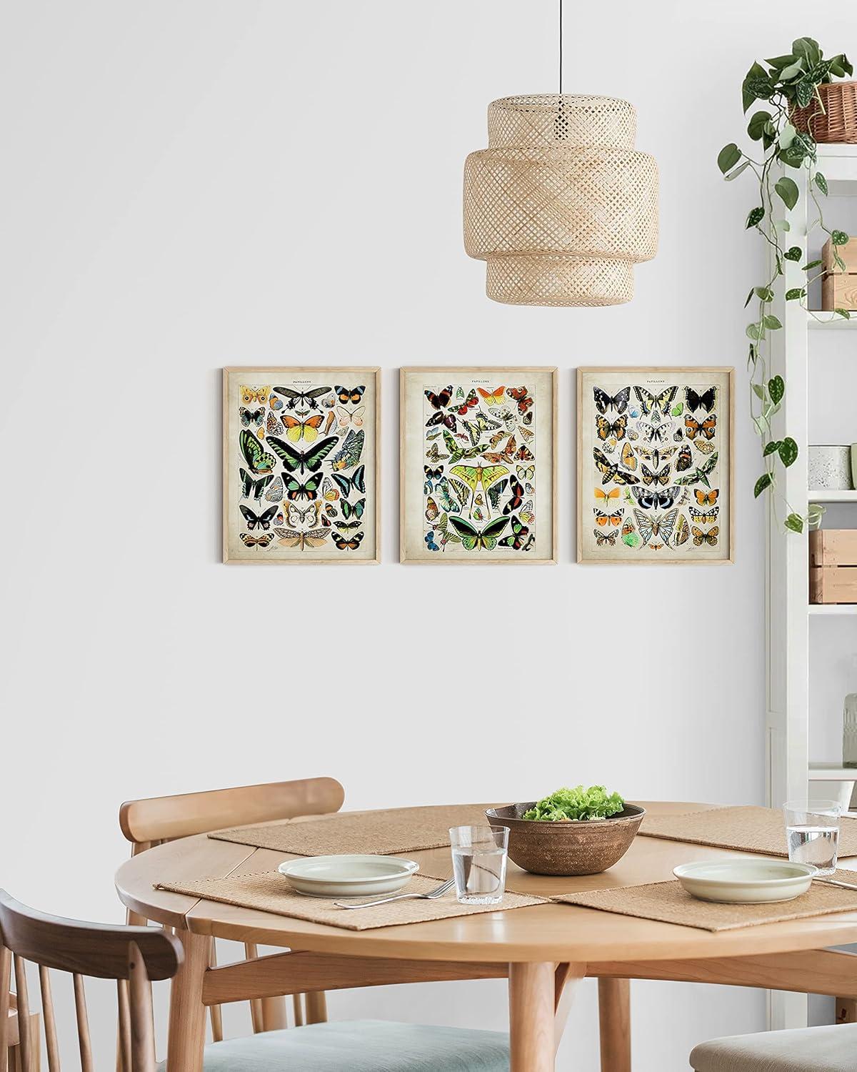 imageHAUS AND HUES Vintage Butterfly Posters  Set of 3 Butterfly Wall Art Vintage Botanical Prints Posters for Room Aesthetic Vintage Pictures Wall Decor Unframed 11x14Adolphe Butterfly
