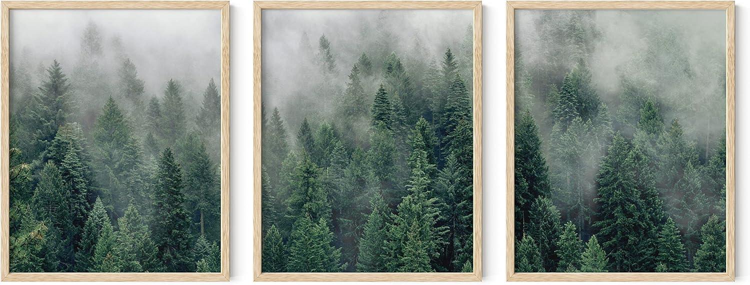 imageHAUS AND HUES Vintage Butterfly Posters  Set of 3 Butterfly Wall Art Vintage Botanical Prints Posters for Room Aesthetic Vintage Pictures Wall Decor Unframed 11x14Foggy Green