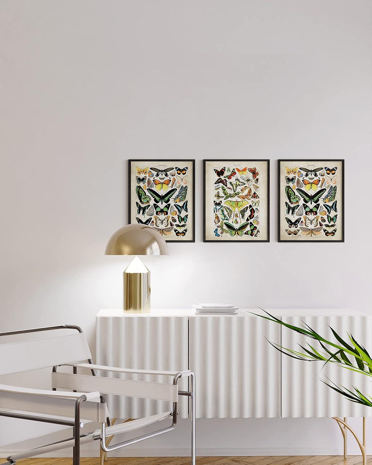 imageHAUS AND HUES Vintage Butterfly Posters  Set of 3 Butterfly Wall Art Vintage Botanical Prints Posters for Room Aesthetic Vintage Pictures Wall Decor Unframed 11x14Adolphe Butterfly