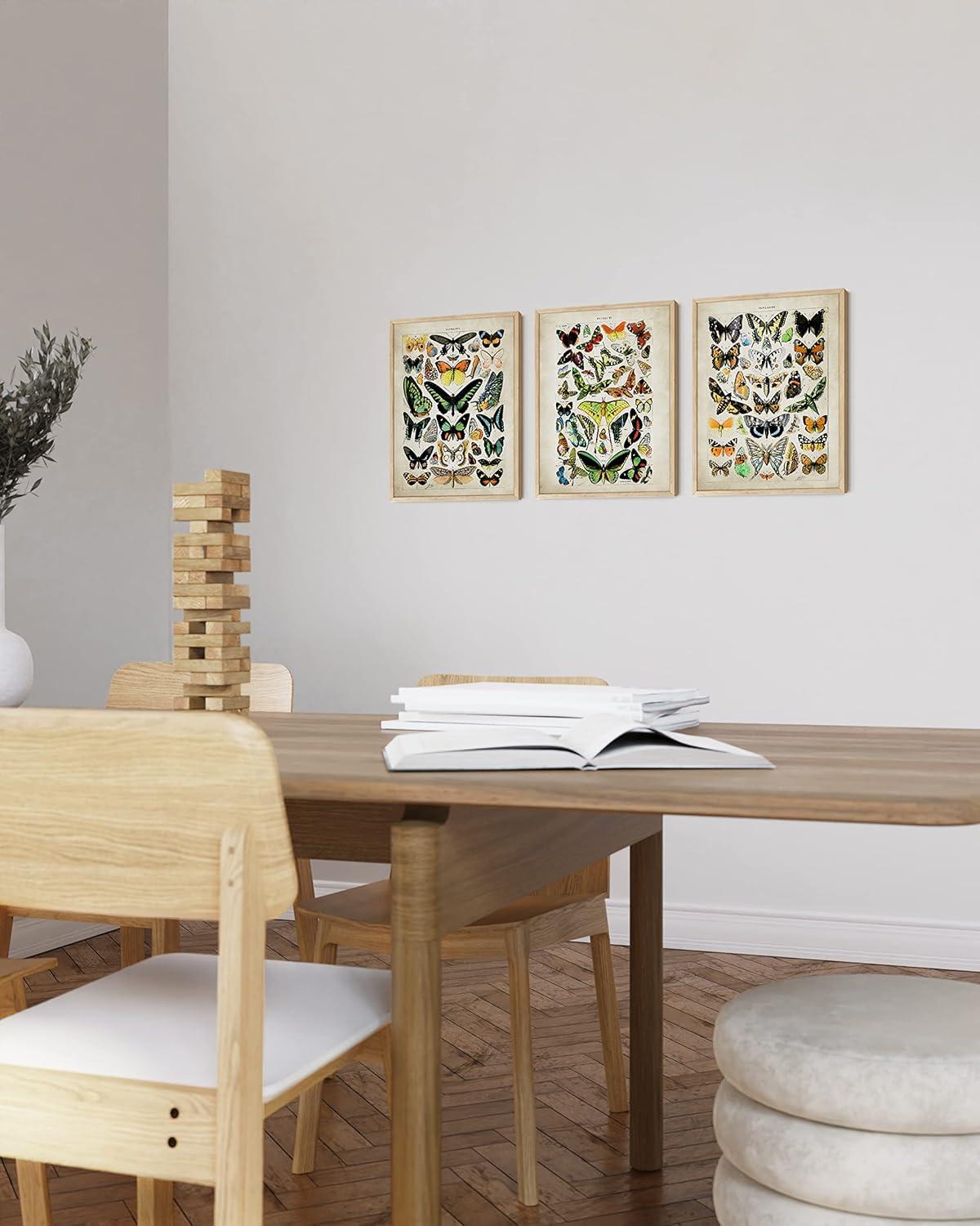 imageHAUS AND HUES Vintage Butterfly Posters  Set of 3 Butterfly Wall Art Vintage Botanical Prints Posters for Room Aesthetic Vintage Pictures Wall Decor Unframed 11x14Adolphe Butterfly