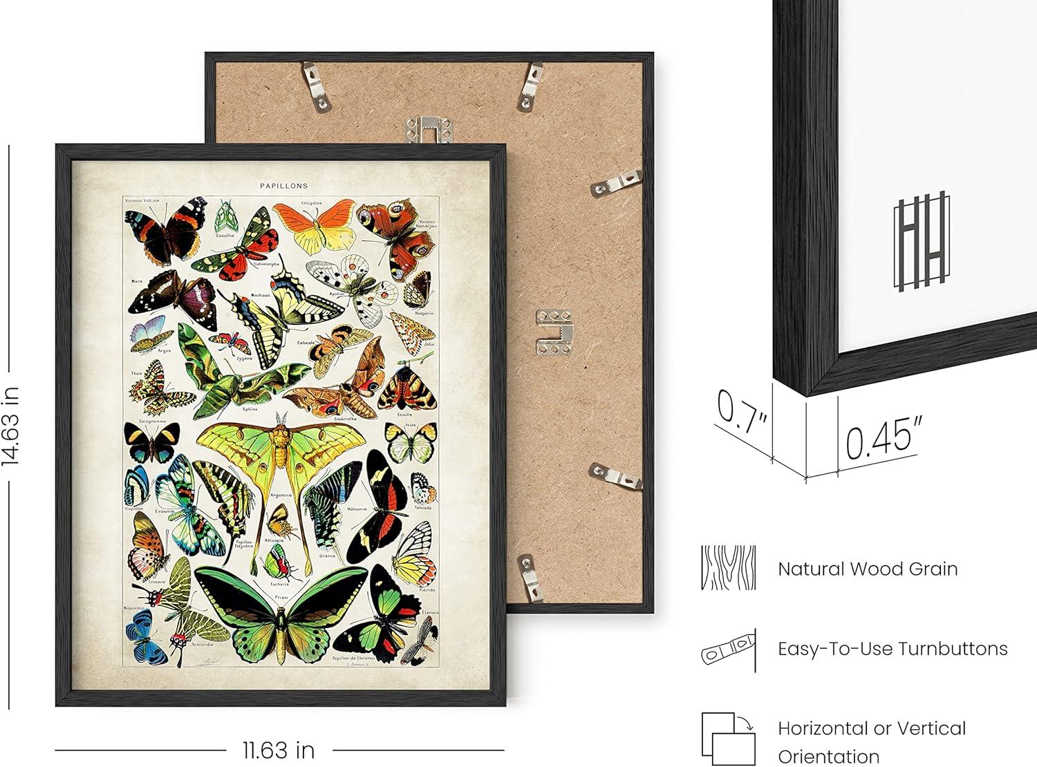 imageHAUS AND HUES Vintage Butterfly Posters  Set of 3 Butterfly Wall Art Vintage Botanical Prints Posters for Room Aesthetic Vintage Pictures Wall Decor Unframed 11x14Adolphe Butterfly