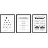 imageBathroom Eye Exam Rules Reviews Set of 3 Framed Black  24x36Funny Bathroom Set