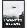 imageHAUS AND HUES Trippy Alien Poster  Extraterrestrial Wall Decor Psychedelic Art Print Trippy Alien Poster Unframed 24x36I Want to Believe