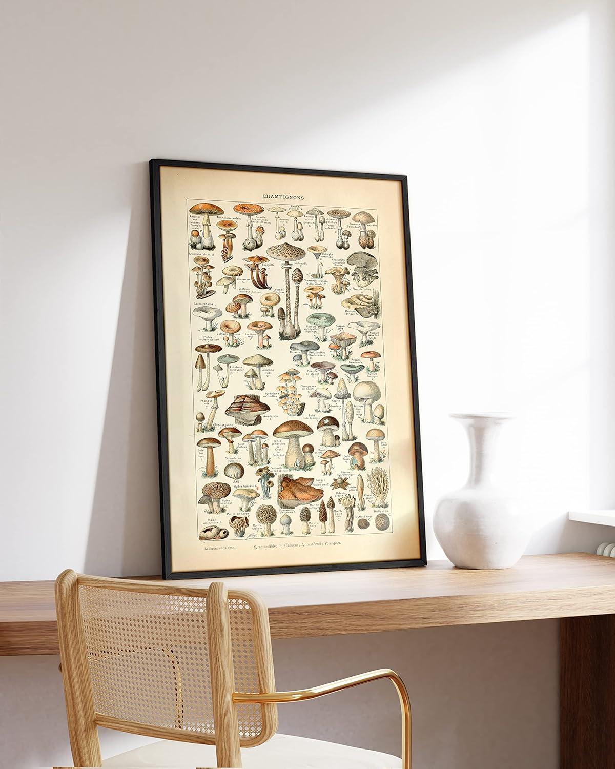 imageHAUS AND HUES Vintage Adolphe Millot Poster  Cottagecore Wall Decor Botanical Chart Vintage Plant Print Botanical Art Beige Frame 24x36Mushrooms w Text