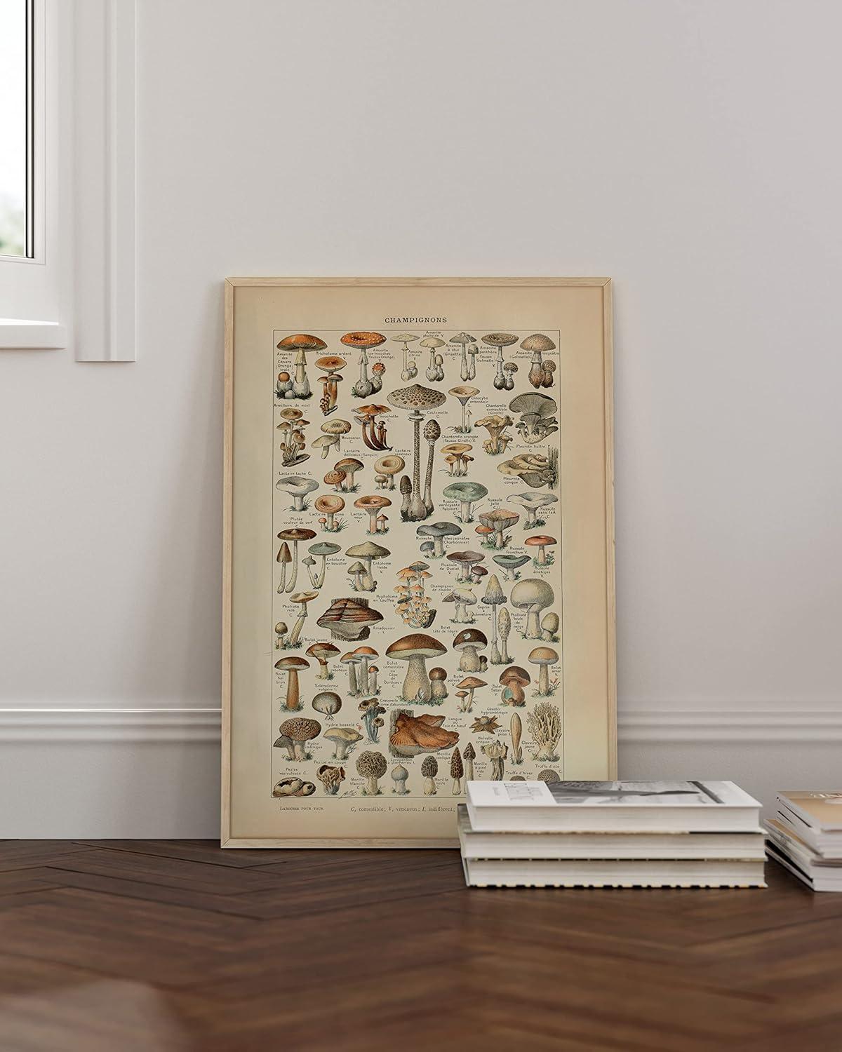 imageHAUS AND HUES Vintage Mushroom Poster  Adolphe Millot Art Print Mushroom Wall Art Botany Cottagecore Wall Dcor Vintage Plant Poster UNFRAMED 12quotx16quotMushrooms w Text
