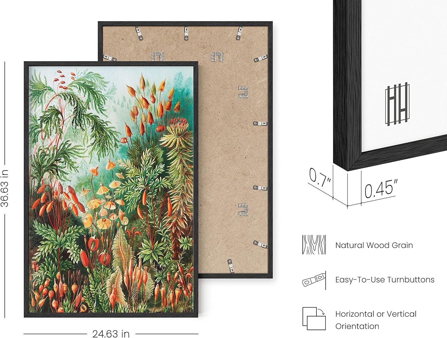 imageHAUS AND HUES Vintage Mushroom Poster  Adolphe Millot Mushroom Wall Art Botanical Print Cottagecore Decor Vintage Plant Poster Beige Frame 24x36Bush