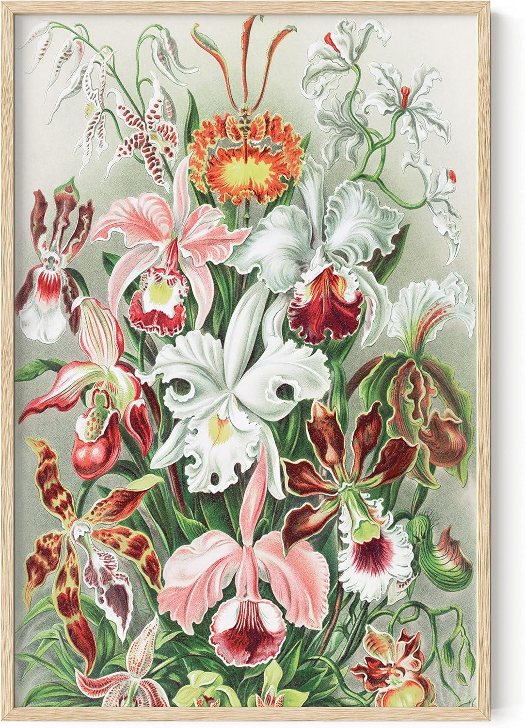 imageHAUS AND HUES Vintage Mushroom Poster  Adolphe Millot Mushroom Wall Art Botanical Print Cottagecore Decor Vintage Plant Poster Beige Frame 24x36Flower