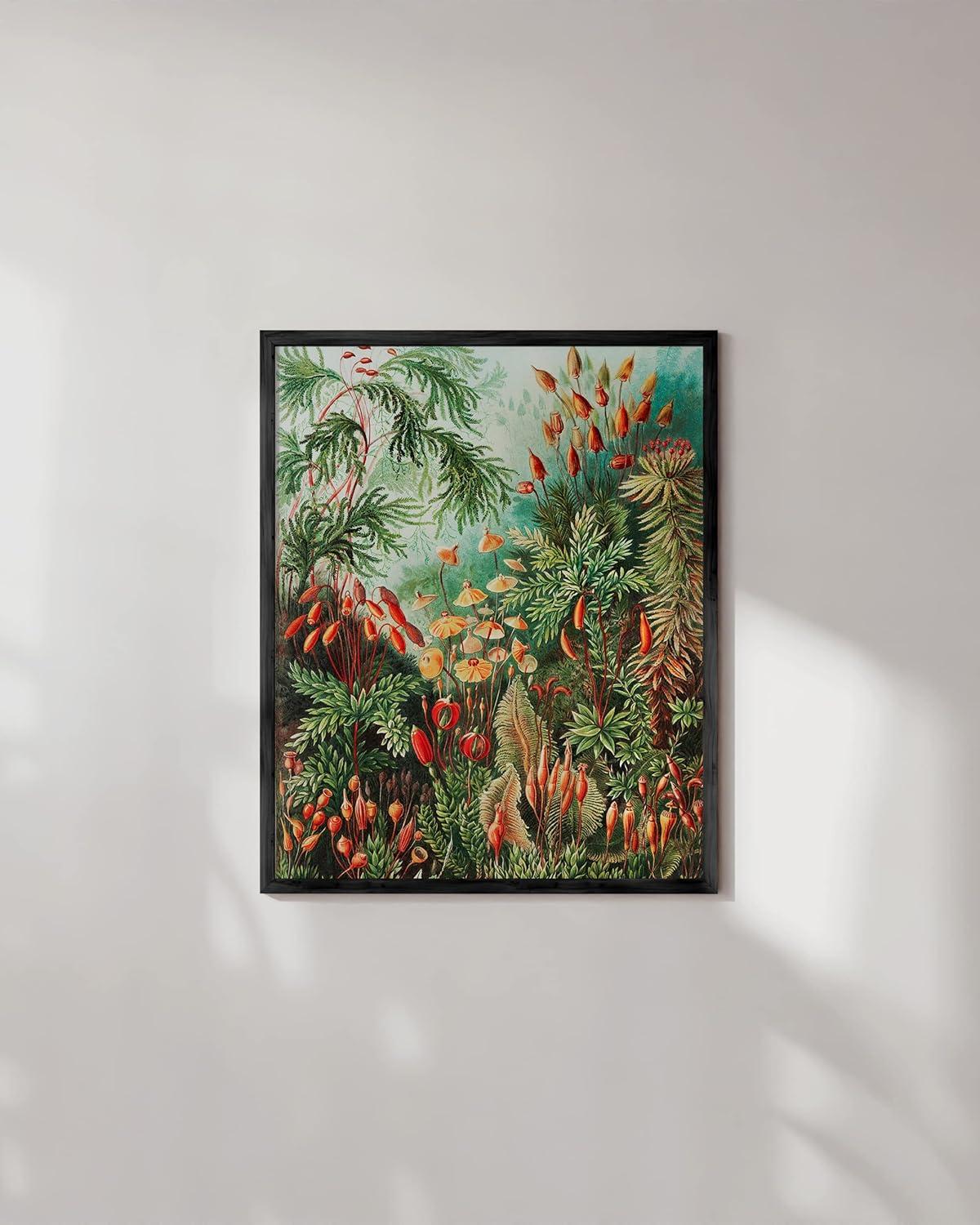 imageHAUS AND HUES Vintage Mushroom Poster  Adolphe Millot Mushroom Wall Art Botanical Print Cottagecore Decor Vintage Plant Poster Unframed 24x36Bush