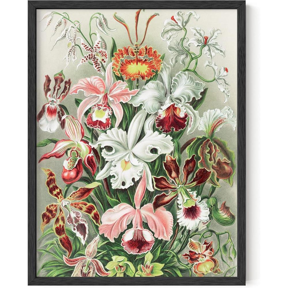 imageHAUS AND HUES Vintage Adolphe Millot Poster  Cottagecore Wall Decor Botanical Chart Vintage Plant Print Botanical Art Beige Frame 16x20Flower