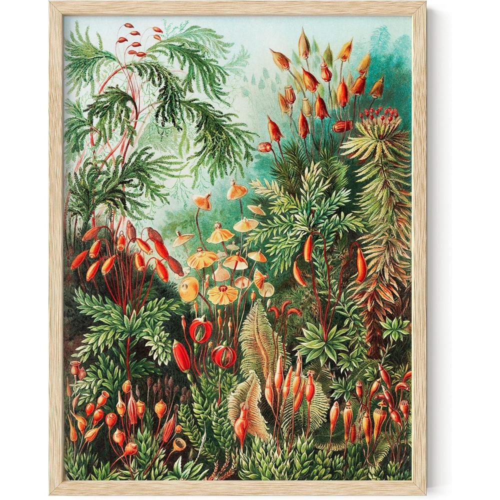 imageHAUS AND HUES Vintage Mushroom Poster  Adolphe Millot Mushroom Wall Art Botanical Print Cottagecore Decor Vintage Plant Poster Black Frame 24x36Bush