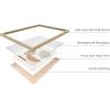 imageHAUS AND HUES Plant Picture Wall Art  Succulent Art Wall Dcor Botanical Print Greenhouse 24L x 36W UnframedBeige Shapes and Branches
