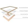 imageHAUS AND HUES Plant Picture Wall Art  Succulent Art Wall Dcor Botanical Print Greenhouse 24L x 36W UnframedBeige Shapes and Branches