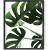 imageHAUS AND HUES Tropical Leaf Painting  Green Monstera Plant Print Modern Botanical Wall Art ampamp Leaf Decor  Black Framed 24x36Monstera