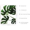 imageHAUS AND HUES Tropical Leaf Painting  Green Monstera Plant Print Modern Botanical Wall Art ampamp Leaf Decor  Black Framed 24x36Monstera