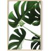imageHAUS AND HUES Tropical Leaf Painting  Green Monstera Plant Print Modern Botanical Wall Art ampamp Leaf Decor  Black Framed 24x36Monstera