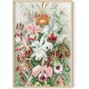 imageHAUS AND HUES Vintage Mushroom Poster  Adolphe Millot Mushroom Wall Art Botanical Print Cottagecore Decor Vintage Plant Poster Beige Frame 24x36Flower