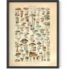 imageHAUS AND HUES Vintage Mushroom Poster  Adolphe Millot Art Print Mushroom Wall Art Botany Cottagecore Wall Dcor Vintage Plant Poster UNFRAMED 12quotx16quotMushrooms w Text