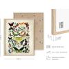 imageBlack and White Foggy Mountains Set of 3  Framed Black  24x36Adolphe Butterfly