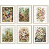 imageHAUS AND HUES Asian Art Prints  Set of 6 Contemporary Japanese Wall Decor Hokusai Paintings Waves Posters Traditional Japanese Prints Unframed 8x10Ernst Haeckel Set