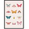 imageHAUS AND HUES Butterfly Picture Wall Decor  Aesthetic Poster for Room Yellow Wall Art Butterfly Print for Bedroom 16x20 UnframedButterfly Collage
