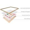 imageHAUS AND HUES Butterfly Picture Wall Decor  Aesthetic Poster for Room Yellow Wall Art Butterfly Print for Bedroom 16x20 UnframedButterfly Collage