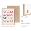 imageHAUS AND HUES Butterfly Picture Wall Decor  Aesthetic Poster for Room Yellow Wall Art Butterfly Print for Bedroom 16x20 UnframedButterfly Collage