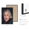 imageHAUS AND HUES Cool Posters for Guys Bedroom  Meme Posters for Boys Room Funny Wall Decor Albert Einstein Wall Art Albert Einstein Poster Posters for Room Aesthetic Men Unframed 24x36Einstein