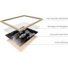 imageHAUS AND HUES Cool Posters for Guys Bedroom  Meme Posters for Boys Room Funny Wall Decor Albert Einstein Wall Art Albert Einstein Poster Posters for Room Aesthetic Men Unframed 24x36Want B