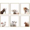 imageHAUS AND HUES Farmhouse Art  Set of 6 Cow Wall Art Prints Framed Barn Animal Pictures Rustic Farmhouse Wall Decor Country Living Room ampamp Kitchen Artwork Vintage Cow Prints Beige Frame 8x10Farm Animals
