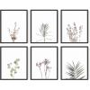 imageHAUS AND HUES Haeckel Botanical Posters  Set of 6 Vintage Plant ampamp Nature Prints  Flower and Botanical Prints UNFRAMED 11quotx14quotLavender