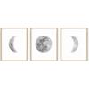 imageHAUS AND HUES Phases of the Moon Wall Decor  Set of 5 Moon Phases Prints Moon Phases Wall Art for Bedroom Moon Phase Transition Art  Black Framed 16x203 Phases