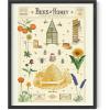 imageHaus and Hues Honey Bee Decor Cavallini Poster  Bee Wall Decor Vintage Posters for Room Aesthetic Vintage Prints and Plant Posters Follygraph Fleurs Vintage Poster Bees and Honey Framed Black 16x20