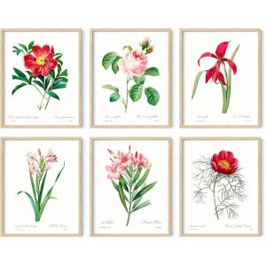 imageHAUS AND HUES Haeckel Botanical Posters  Set of 6 Vintage Plant ampamp Nature Prints  Flower and Botanical Prints UNFRAMED 11quotx14quotVintage Flowers Set