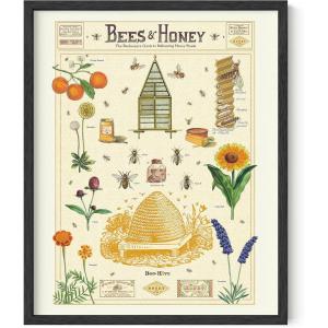 imageHaus and Hues Honey Bee Decor Cavallini Poster  Bee Wall Decor Vintage Posters for Room Aesthetic Vintage Prints and Plant Posters Follygraph Fleurs Vintage Poster Bees and Honey Framed Black 16x20