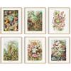 imageHAUS AND HUES Asian Art Prints Japanese Wall Decor  Set of 6 Contemporary Japanese Posters Hokusai Wave Prints Traditional Asian Decor Ukiyoe Style Prints Unframed 16x20Ernst Haeckel Set