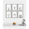 imageHAUS AND HUES Floral Prints ampamp Plant Posters  Set of 6 Botanical Prints Flower ampamp Plant Wall Art Botanical Decor Black Frame 16x20Lavender