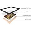imageHAUS AND HUES Floral Prints ampamp Plant Posters  Set of 6 Botanical Prints Flower ampamp Plant Wall Art Botanical Decor Black Frame 16x20Vintage Japanese Set