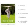 imageHAUS AND HUES Hang in There Cat Poster  Funny Cat Wall Art Cute Posters Motivational Art Print Inspirational Posters Hang in There Poster Black Framed 12quot x 16quotUnframed