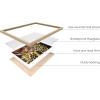 imageHAUS AND HUES Leaf Prints Botanical Wall Art Set of 6 Nature Art Prints ampamp Eucalyptus Leaves Wall Decor  Botanical Prints Eucalyptus Wall Art Plant Decor  Unframed 8quot x 10quotVintage Japanese Set