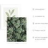 imageHAUS AND HUES Sage Green Wall Art  Set of 6 Nature Prints Aesthetic Green Posters Abstract Plant Art for Bedroom Decor Unframed 8x10