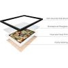 imageHAUS AND HUES Wall Art Prints Herbs Art Set Kitchen Decor Scandinavian Style 6x11x14 inches Black Framed Set of 4 Black Oak FrameErnst Haeckel Set